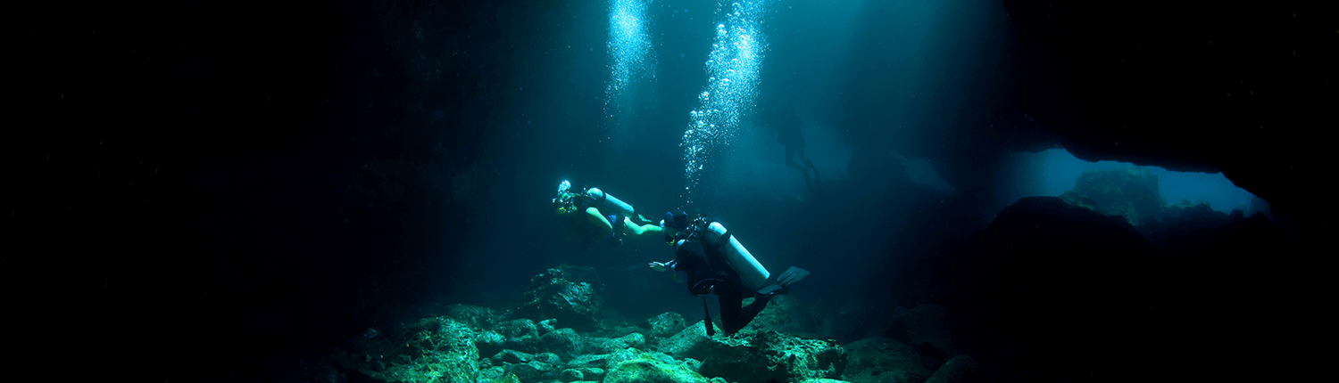 Maui guided scuba dives