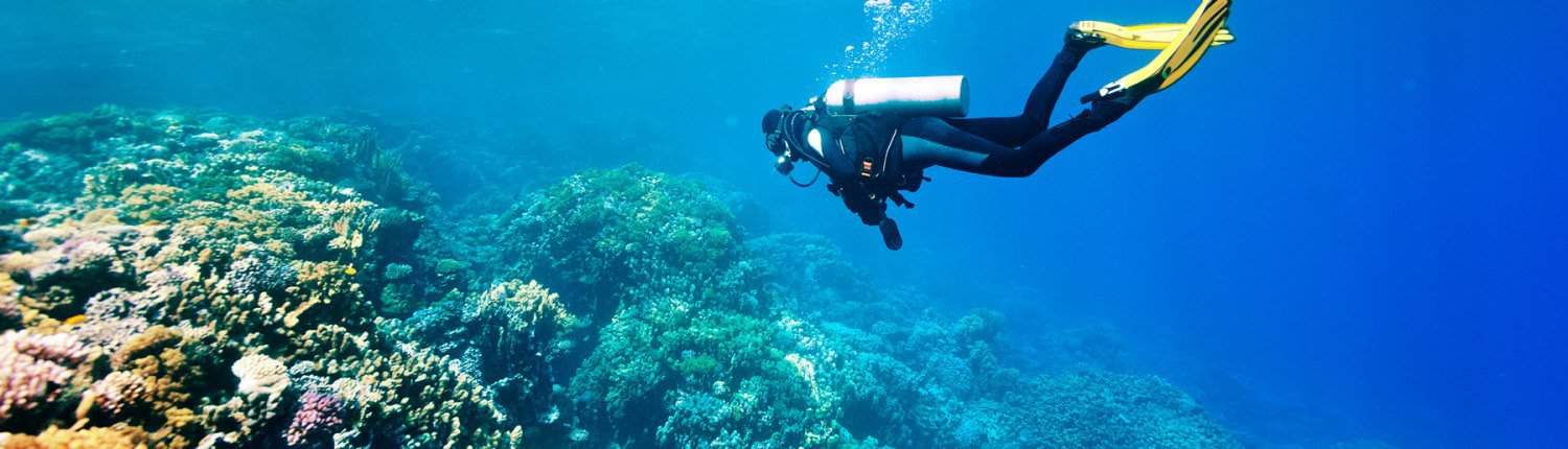 Scuba Diver Instructor in Maui