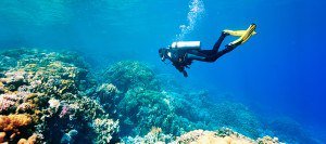 Scuba Diver Instructor in Maui