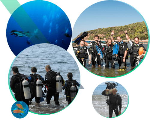 scuba diving lessons with maui scuba mike