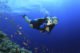 Maui Scuba Diving Packages