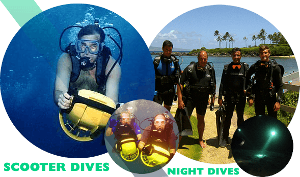 Night Dives and Scooter Dives