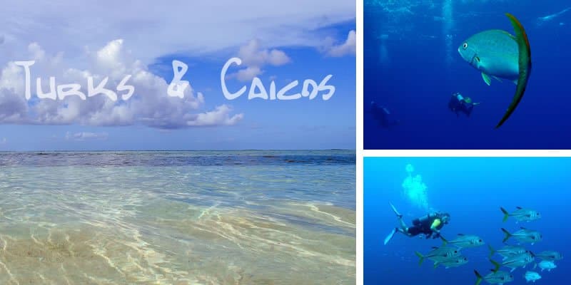 jeg er tørstig plantageejer At deaktivere Top scuba destinations in the world – (Top 5) - Maui Scuba Mike ~ Scuba  Diving Specialist in Maui Hawaii