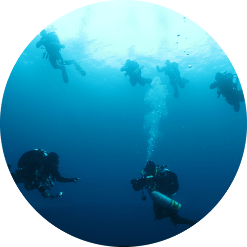  private dive tours Maui