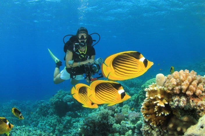 Maui Underwater Scuba Photography